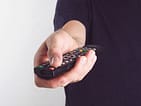 holding remote