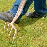 lawn
